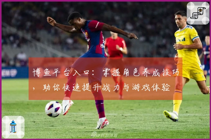 博鱼平台入口：掌握角色养成技巧，助你快速提升战力与游戏体验