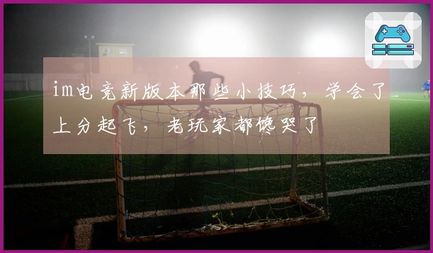 im电竞新版本那些小技巧，学会了上分起飞，老玩家都馋哭了