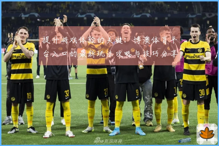 提升游戏体验的关键：博澳体育平台入口的最新玩法攻略与技巧分享